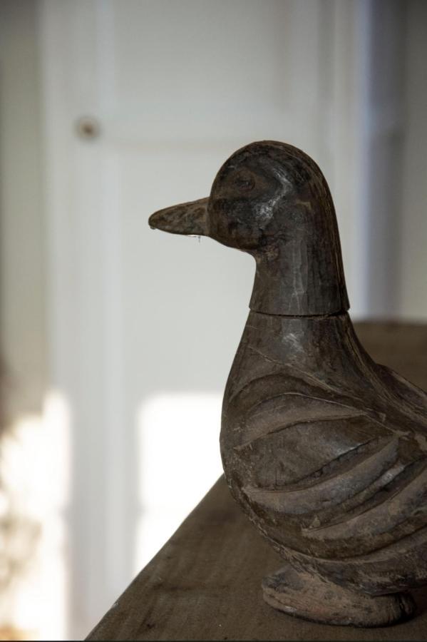 Le Roi Des Oiseaux - Gite A La Campagne Montcavrel Ngoại thất bức ảnh