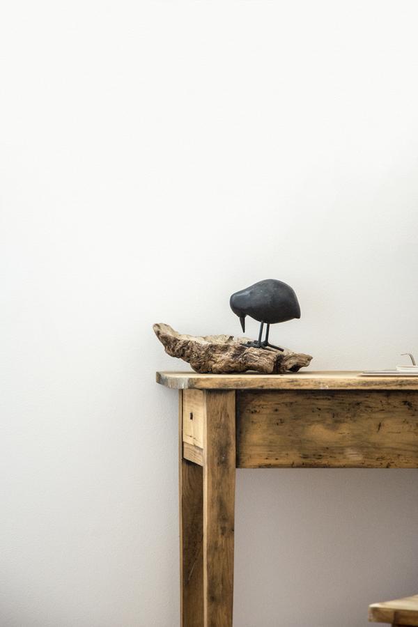 Le Roi Des Oiseaux - Gite A La Campagne Montcavrel Ngoại thất bức ảnh